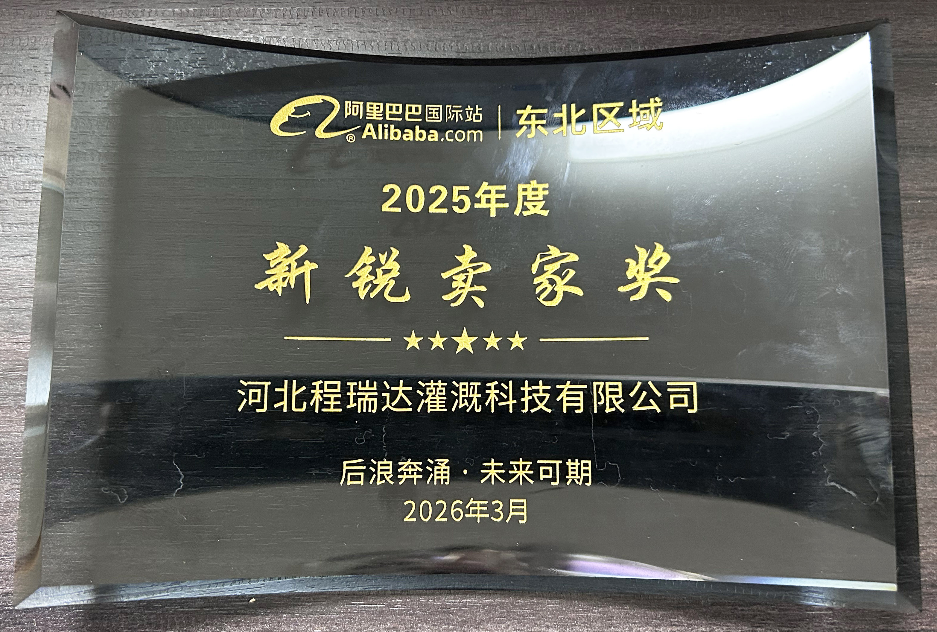 东丽程瑞达灌溉 | 荣获阿里国际站新锐卖家奖